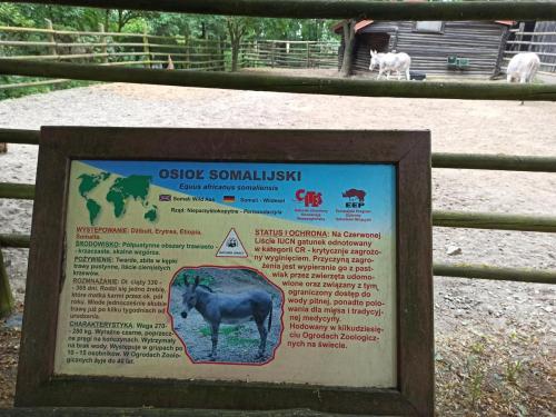 1-LO-w-Zoo-6