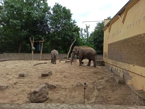 1-LO-w-Zoo-7
