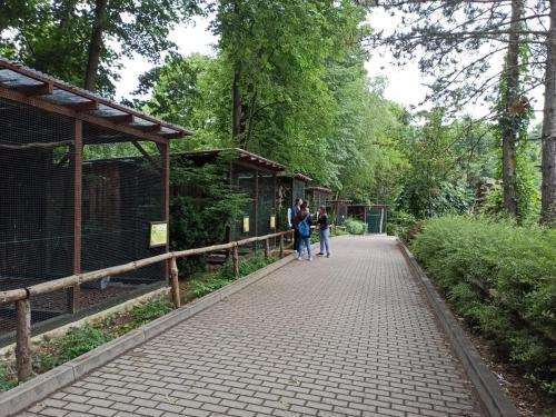 1-LO-w-Zoo-9