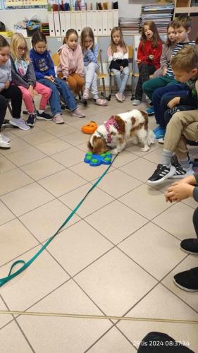 Dogoterapia-1