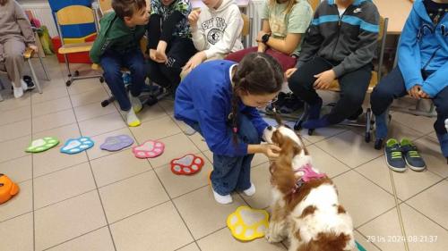 Dogoterapia-3
