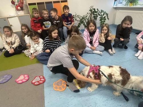 Dogoterapia-4