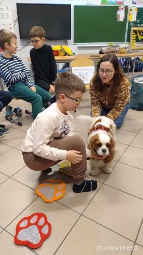 Dogoterapia-6