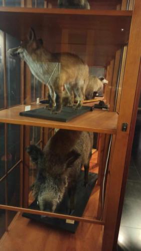 Lekcja-muzealna-1-klasy-19
