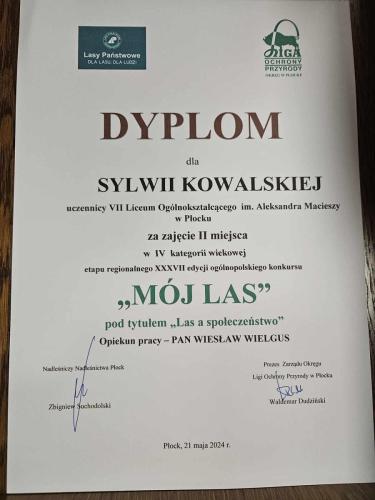 Moj-las-2