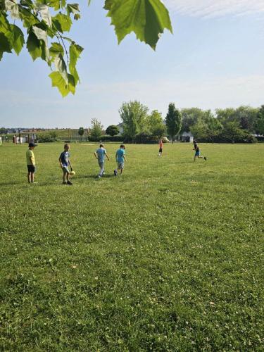 Park-Polnocny-6