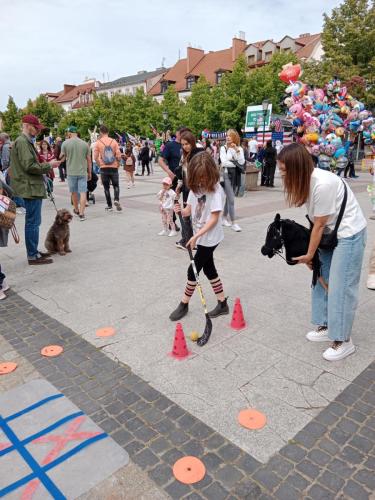 Piknik-2024-28