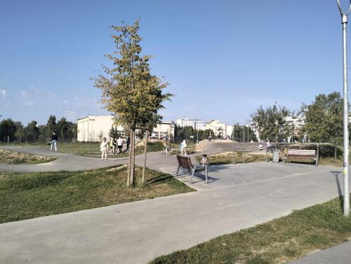 Sprzatanie-2023-23
