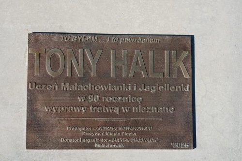Tony-Halik-6